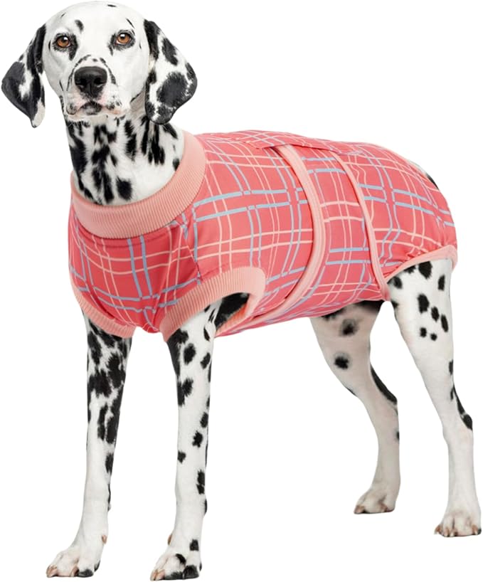 Dog Recovery Suit for Female Male Dogs, Post-Surgery Bodysuit for Spay Neuter, Dog Onesie After Surgery, Anti-Licking Pet Surgical Recovery Suit, Pink L