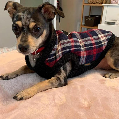 Gooby Fashion Vest Check Dog Jacket - White Check, X-Large - Warm Zip Up Dog Bomber Vest with Dual D Ring Leash Water Resistant for Small to Medium Dogs