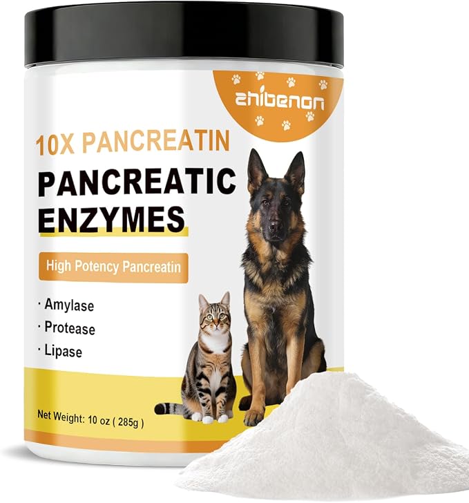 Pancreatic Enzyme Powder for Dogs - 10X High Potency Pancreatin Supplement (285g/10oz) - Supports Nutrient Absorption, Improves Digestive Health for Pets