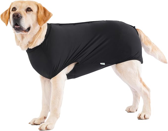 LovinPet Dog Recovery Suit, Snap-Back Post-Op Onesie for Large Dogs, Post-Spay Bodysuit for Female Dogs with Cushioned Belly Panel, Black, XXL