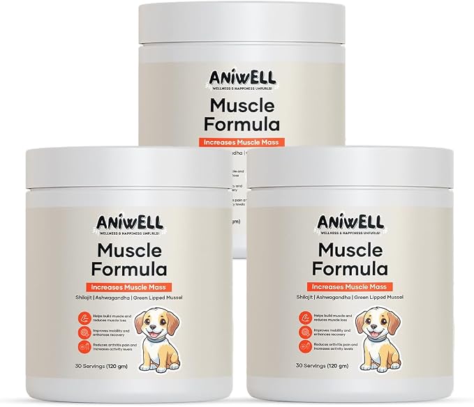 Muscle Formula for Dogs – Glucosamine Chondroitin, Green Lipped Mussel | Shilajit, Ashwagandha | Hip and Joint Supplement for Dogs Muscle Strength & Mobility | Dog Joint Supplement | Pack of 3
