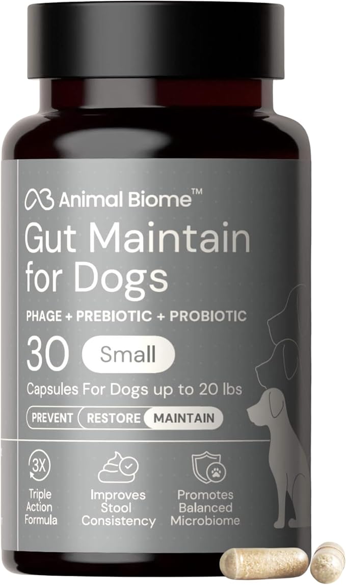 Probiotics for Dogs with S Boulardii, Gut Maintain (30 Capsules) – Triple-Action Small Dog Probiotics, Prebiotics & Phage Supplements for Gut Health, Firmer Stool & Diarrhea Support