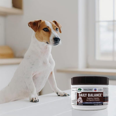 Dogzymes Probiotic Daily Balance - Supplies Nutritional Support and Live microorganisms for intestinal Well-Being as Well as enzymes for Proper Digestion. Liver and Egg Base. (2 Pound)