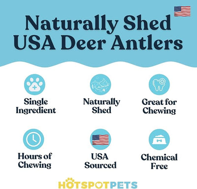 hotspot pets Premium USA Sourced Deer Antlers for Dogs - 7+ Inch Large Antler Dog Chews (2 Pack) Naturally Shed Antler Bone for Large Breed Aggressive Chewers - Promotes Dental Hygiene