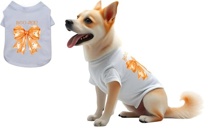 Luxury Designer Dog T Shirt – Cute Puppy Clothes for Small Dogs, Fashion Pet Tee Outfit for French Bulldogs & Chihuahuas, Everything Chic Dog Apparel
