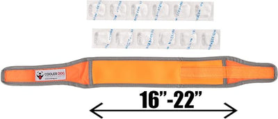 CoolerDog Hi-Vis Cooling Dog Collar for Medium Dogs – Reflective Re-Freezable Ice Collar for Hot Weather & Heat Relief (Orange, Medium)