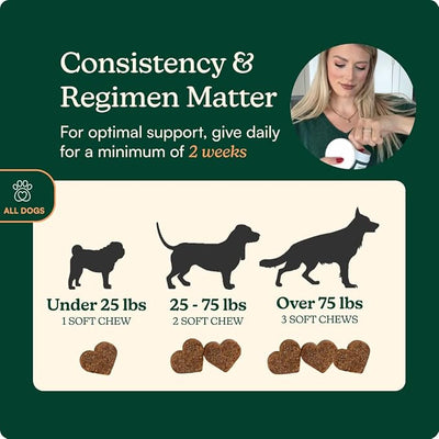 Reggie Anytime Calming Chews for Dogs | Dog Anxiety Relief with L-Theanine & Magnolia Barks | Dog Calming Treats for Separation Anxiety, Thunderstorms, Travel & Stress | 60 Soft Chews