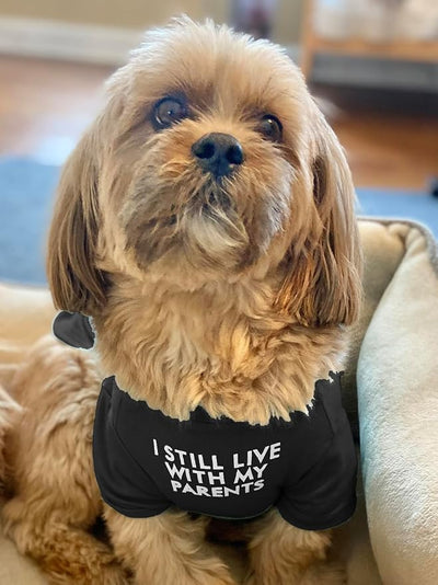 Cute Dog Clothes, T Shirt for Medium and Small Dogs Girl Boy,Puppy.Breathable Soft Dog Costume for Pet Dogs Cats, Pet Pullover Jumper, Cat Clothes (M-(7~11lb),Chest~16",Black,Parents)