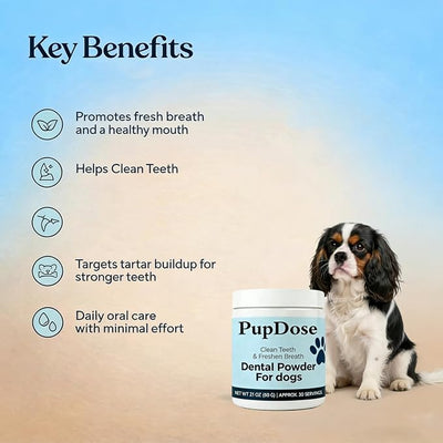 Dental Powder for Dogs, Teeth Cleaning & Fresh Breath, Tartar Control Dog Supplement, Supports Healthy Gums & Oral Care, Easy Mix Daily Dental Care for Dogs, Natural Breath Freshener (1 Pc)