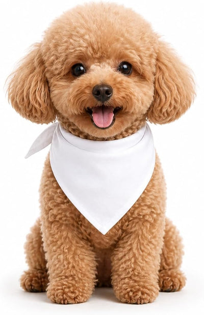 Petitebella Single Color Pet Bandana (White, Large)