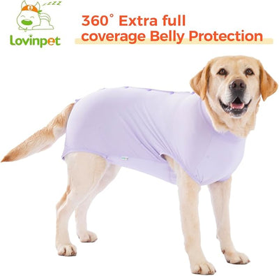 LovinPet Dog Recovery Suit, Snap-Back Post-Op Onesie for Large Dogs, Post-Spay Bodysuit for Female Dogs with Cushioned Belly Panel, Purple, XL