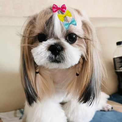 Dog Hair Bows with Clips 2Inch Girl Small Dog Apparel Accessories for Pet Puppy Cat Kitten Rabbit Hair Bows Clips 40PCS