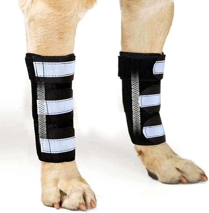 Front Leg Brace for Dogs & Cats, Dog Leg Brace with Metal Spring Inserts, Dog Leg Sleeve for Carpal Support, Dog Leg Sleeve with Reflective Straps, L/XL, Pair
