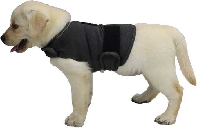 Comfort Dog Anxiety Relief Coat, Dog Anxiety Calming Vest Wrap for Thunderstorm,Travel,4th of July Fireworks,Vet Visits,Separation Anxiety Relief for Dogs (Small (Pack of 1), Gray)