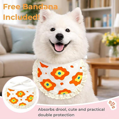 Soft Dog Surgery Recovery Suit for Female/Male Spay/Neuter, Bandana Set Included, E-Collar Cone Alternative, Large Dogs Onesie Full Body Surgical Suits After Spayed Neutered, Medical Pet Bodysuit, L