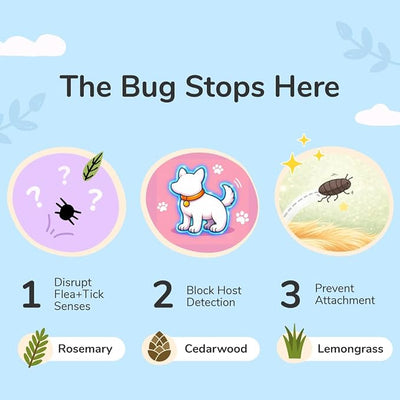 Flea Tick Protection Kit (Lavender Shampoo - Lemongrass Spray)