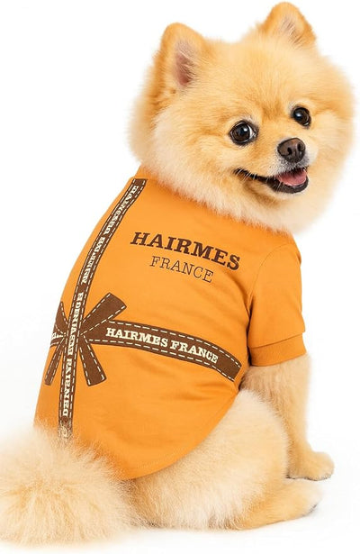 Luxury Designer Dog T Shirt – Trendy Puppy Clothes for Small Dogs, Fashion Pet Tee for French Bulldogs & Chihuahuas, Everything Chic Dog Apparel