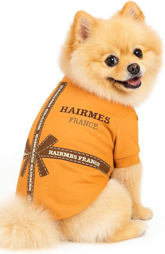 Luxury Designer Dog T Shirt – Trendy Puppy Clothes for Small Dogs, Fashion Pet Tee for French Bulldogs & Chihuahuas, Everything Chic Dog Apparel