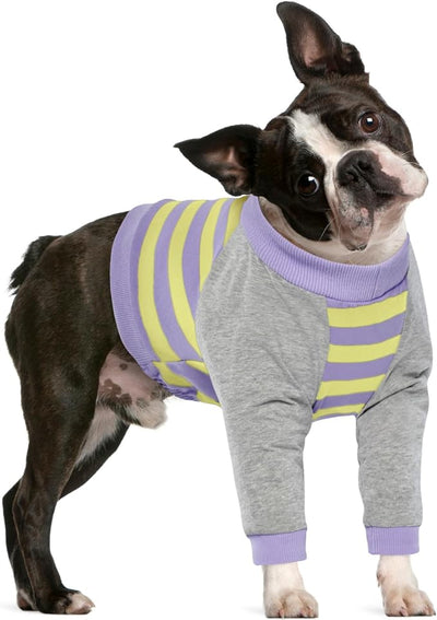 FUAMEY Dog Recovery Sleeve with Elbow Protector for Small Dogs | Dog Shirt Stop Licking Joints, Long Sleeve Suit, Protecting Front Leg Arm, Wounds Cover Skin Conditions, Purple Stripes S