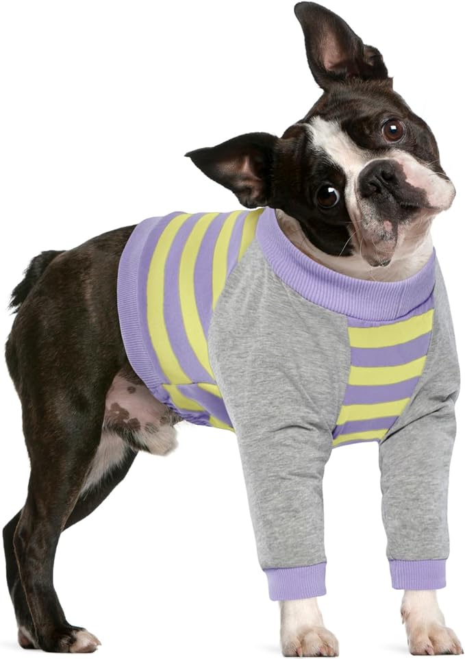 Dog Recovery Sleeve with Elbow Protector,Dogs Shirt Stop Licking Joints,Pet Long Sleeve Suit Protecting Dog's Front Leg Arm Wounds Cover Skin Conditions Purple Stripes M