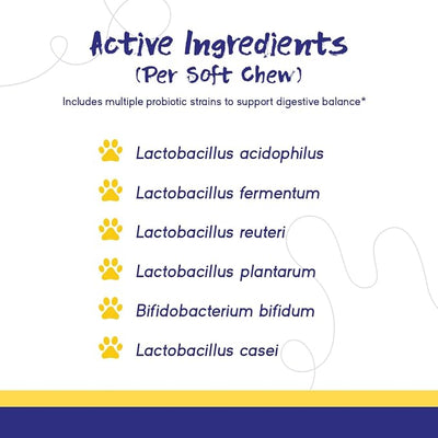 PupGrade Digestive Support for Dogs - Prebiotic + Probiotic Supplement with Enzyme Blend - Gut and Immune Support - Pumpkin, Blueberry, Mineral Oil, Peanut Butter Flavor - 180 Soft Chews