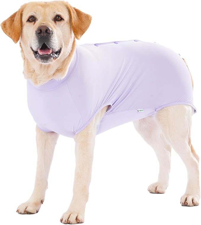 LovinPet Dog Recovery Suit, Snap-Back Post-Op Onesie for Large Dogs, Post-Spay Bodysuit for Female Dogs with Cushioned Belly Panel, Purple, XL
