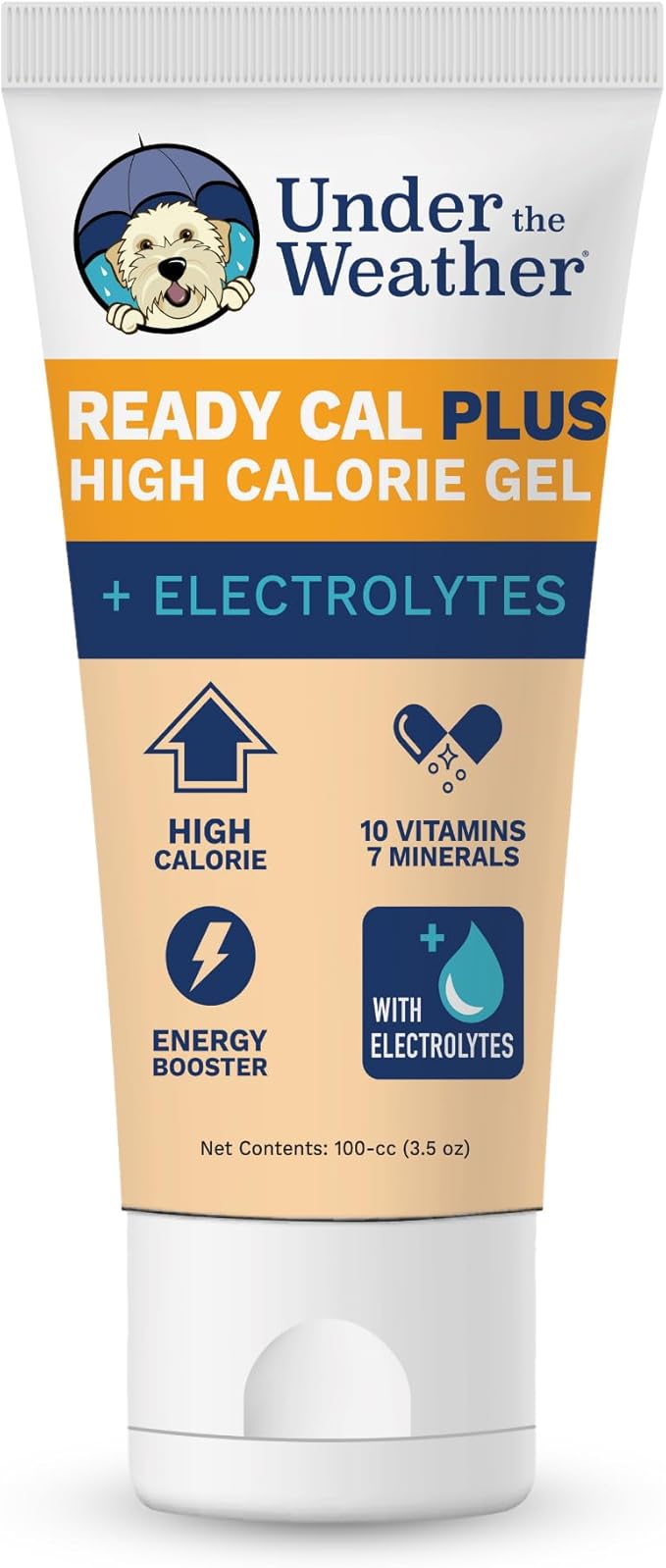 Pet Electrolytes Ready Cal Plus Gel for Dogs | Vet-Formulated High-Calorie Supplement for Dog & Puppy | Provides Essential Calories & Promotes Weight Gain | 3.5 Oz Tube Pack