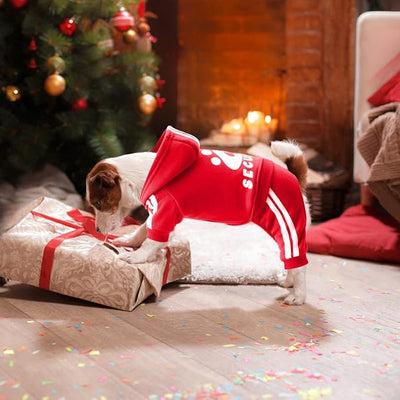 Dog Hoodie Security Clothes 4 Legs Jumpsuit Sweatshirt Hoodies Soft & Warm Dog Outfit Pullover Dog Winter Clothes Sweater for Small Medium Large Dogs Cats (Red, Small)