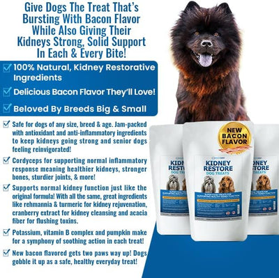 Kidney Restore Bacon Flavor Dog Treats: Low Protein Treats for Dogs, Kidney Function for Dogs, Renal Friendly Low Protein