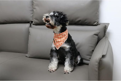 Fall Dog Bandanas Girl Boy American Football Cotton Washable Comfortable Triangle Dog Scarf Adjustable Pet Bib Kerchief for Small Medium Large Dogs L