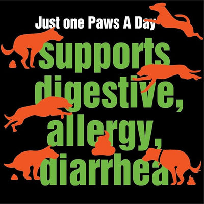 Army Soldier Owned Dog Probiotics for Yeast, Itchy Skin & Itchy Ears, Dog Allergy Relief, Digestive Health, Occasional Diarrhea & Immune Support, 3 Billion CFU, 60 Yummy Chewables