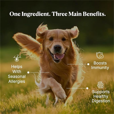 Colostrum for Dogs - 25% IgG Whole Bovine Colostrum Powder Supports Immune & Gut - Digestive Health, Allergy, Skin & Itch Relief - No Fillers, Grass-Fed USA Sourced – 120g (~240 Scoops)