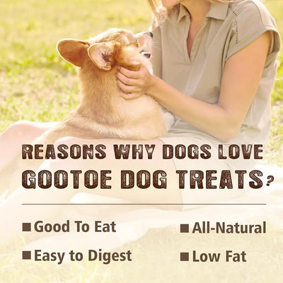 Gootoe Soft Dog Treats, Chicken Jerky - Dog Training Treats; High-Protein, Gluten-Free, Soft Jerky for Dogs, Hypoallergenic, Grain-Free, Chicken Breast Strips, 1 lb (Pack of 3)