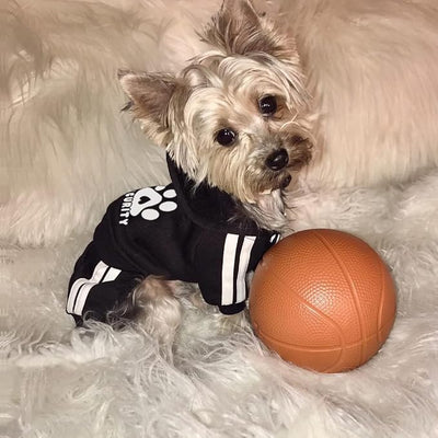 Dog Hoodie Security Clothes 4 Legs Jumpsuit Sweatshirt Hoodies Soft & Warm Dog Outfit Pullover Dog Winter Clothes Sweater for Small Medium Large Dogs Cats (Black, Large)