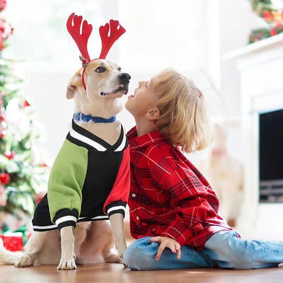Cute Dog Sweater - Stretchy Dog Pullover Sweatshirt,Soft and Warm Winter Clothes for Boy & Girl Dogs,Suitable for Puppies & Adult Dogs (Black+Red+Green, Large)