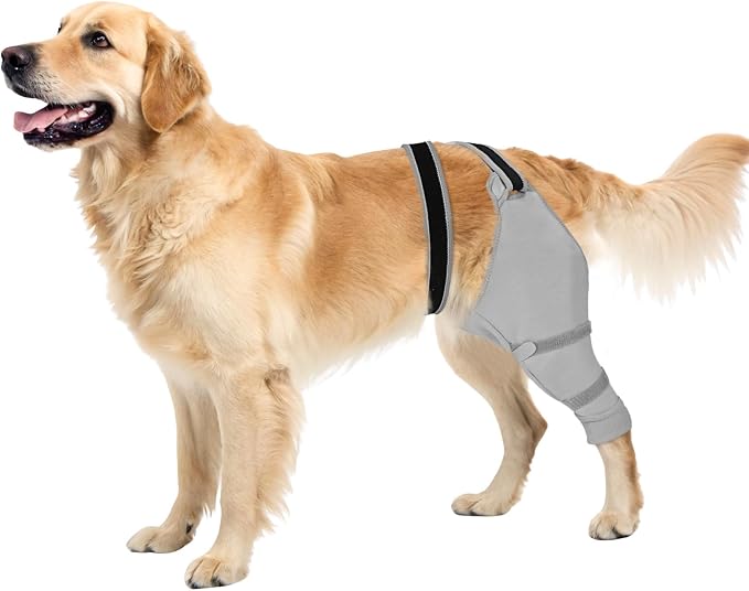 Dog Sleeve for Rear Legs to Stop Licking, Upgraded Recovery Sleeve for Hind Back Leg Wounds,TPLO, ACL Surgery, Light Comfortable Cone Alternative, Left,M, Grey