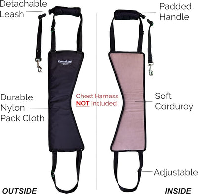 GINGERLEAD Dog Rear Support Sling Harness, M/LG Unisex with Cutout Fits Male & Female Dogs. Padded Hip Lifting Aid Helps Old Pets Walk, K9s Recover from TPLO Surgery. Integrated Leash. Made in U.S.A.