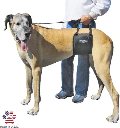 GINGERLEAD Dog Sling Hip Support Harness, Tall Female fits Tall, Lean Female Dogs Like Greyhounds or Great Danes. Padded Lifting Aid to Help Pets Up or Down Steps, in or Out of Vehicles. Made in USA