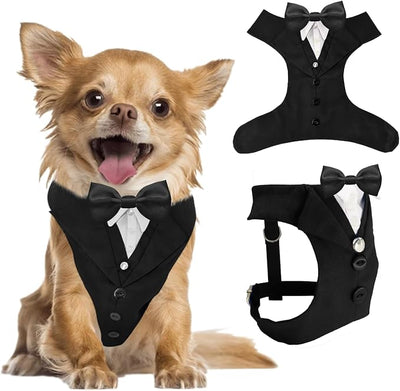 AVERYDAY XS Pet Tuxedo Harness, Wedding Costume Outfit for Small Dogs, Slim Cats and Tiny Pets with 9.1" Neck, 14.2-18.9" Chest, 9" Max Head Girth, Formal Suit Costume for Mini Breeds