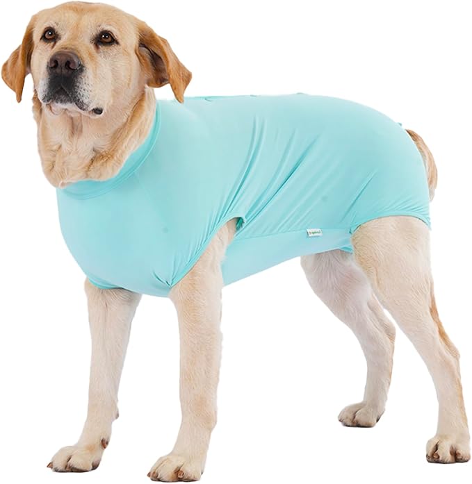 LovinPet Dog Recovery Suit, Easy Snap-Back Cover for Large Dogs, Bodysuit for Female Dogs, Solid-Color Surgery Suit with Cushioned Belly Panel, Green, L