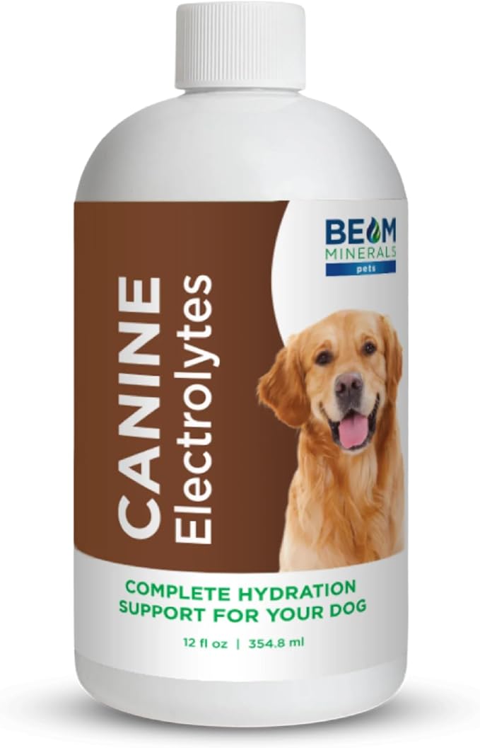 Beam Minerals Complete Canine Electrolytes | Full-Spectrum Electrolytes for Dogs | 12 Fl Oz