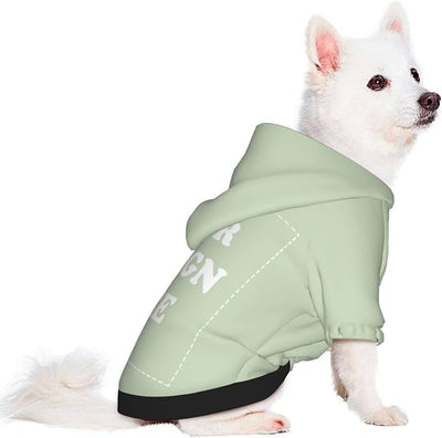 Personalized Chihuahua Dog Hoodie, Custom Pet Warm Sweatshirt Costume with Name Number Photo, Customize ID Clothes for Pupppy Kitten Dogs Cats, LightGreen, M