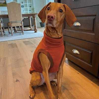 Sweatshirt for Vizsla/Weimaraner/Poodle/Dalmatian/German Dog, Reflective Sleeveless Warm Cotton Clothes for Big Dogs (Orange, XXX-Large(Chest 31''. back26''))