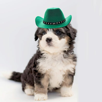 Pet Dog Costume Cowboy Hat Cosplay Cap Puppy Pet Dog Cat Holiday Pet Party Decoration (Green)