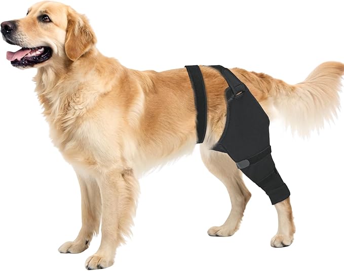 Dog Sleeve for Rear Legs to Stop Licking, Upgraded Recovery Sleeve for Hind Back Leg Wounds,TPLO, ACL Surgery, Light Comfortable Cone Alternative, Right,XL, Matte Black