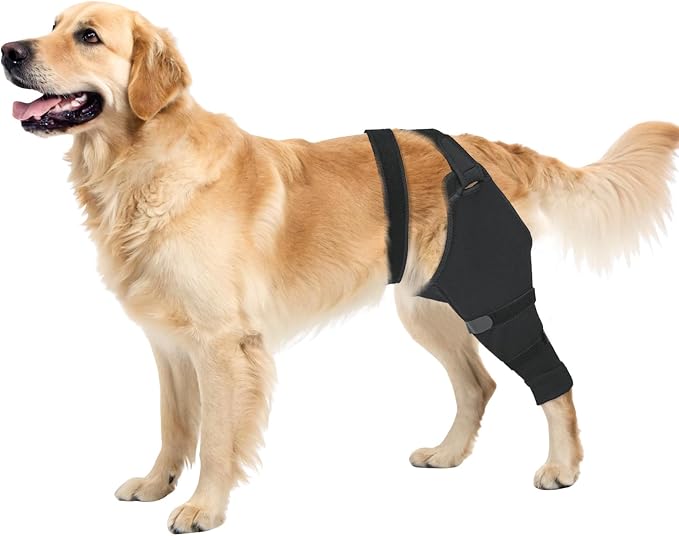 Dog Sleeve for Rear Legs to Stop Licking, Upgraded Recovery Sleeve for Hind Back Leg Wounds,TPLO, ACL Surgery, Light Comfortable Cone Alternative, Left,M, Matte Black
