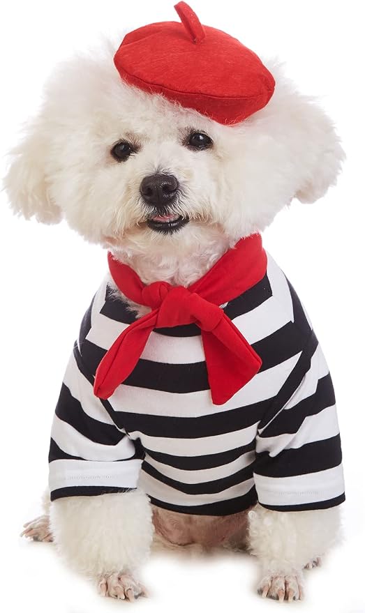 Artist Dog Costume with Funny Hat Painter Pet Clothes for Small Dog Shirts Puppy Summer T-Shirt (XS) Black