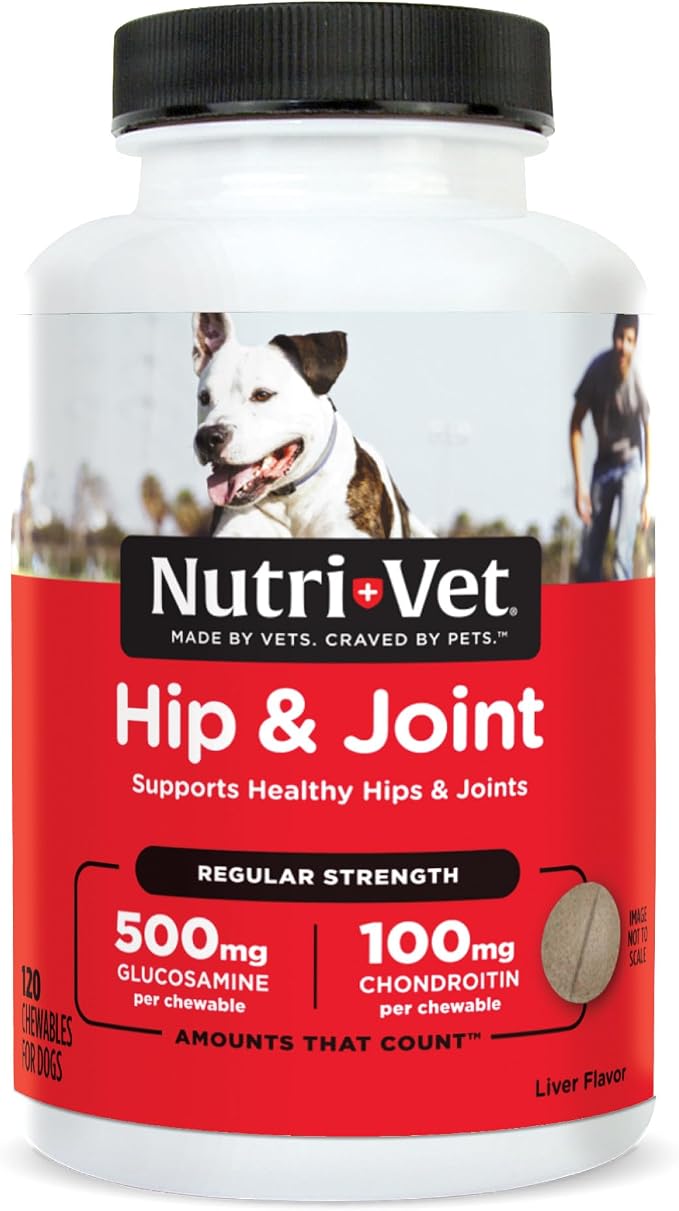 Hip & Joint Regular Strength Chewable Dog Supplements, Formulated with Glucosamine Chondroitin, Pet Supplies, Joint Supplement for Dogs, Pet Care, Puppy Essentials, 120 Count