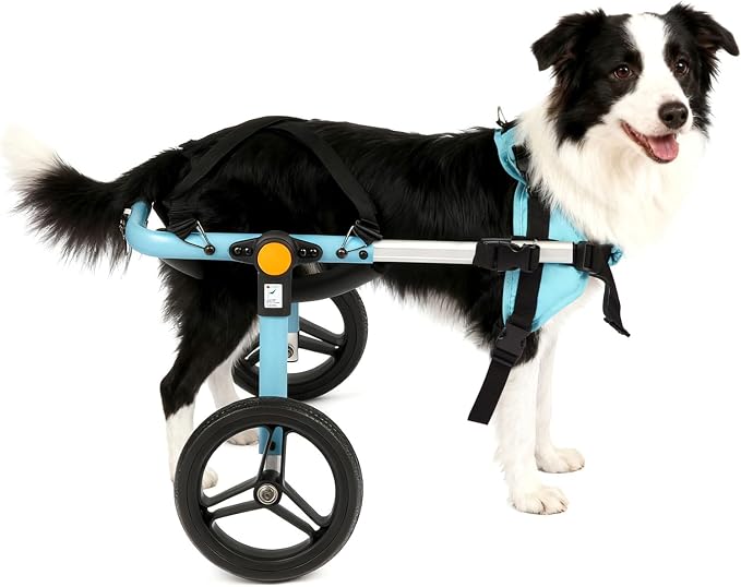TailWaggers Dog Wheelchair for Back Legs | Adjustable Mobility Aid | All-Terrain Wheels
