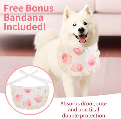 Surgery Recovery Suit for Female/Male Dog After Spay/Neuter, Bandana Set Included, Substitute E-Collar & Cone Anti Licking Wounds, Medium/Large/Small Dogs Full Body Surgical Suits, Medical Pet Onesie